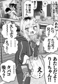Cover 63518