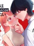 Cover 63520