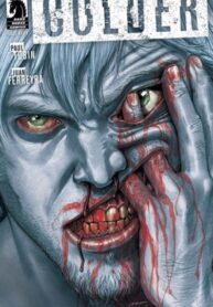 Cover 63530