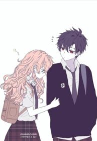 Cover 63532