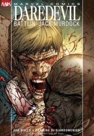 Cover 63638