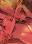 Cover 63648