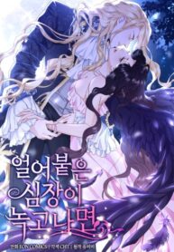 Cover 63650