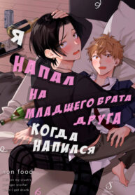 Cover 63737