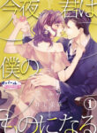 Cover 63838