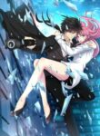 Cover 63916