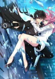 Cover 63916