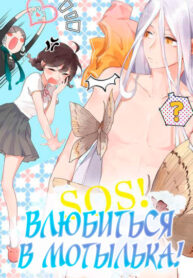 Cover 63935