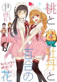 Cover 63991