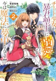 Cover 64041