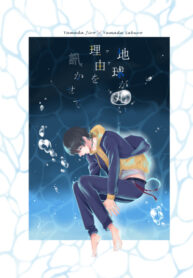 Cover 64072