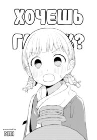 Cover 64251