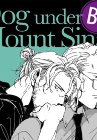 Cover 64375