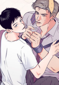 Cover 64383