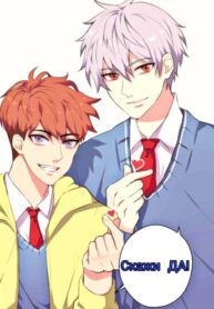 Cover 64528