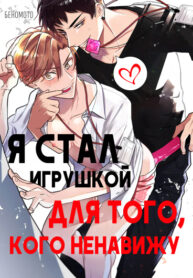 Cover 64532