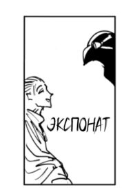 Cover 64579