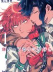 Cover 64745