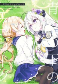 Cover 65031