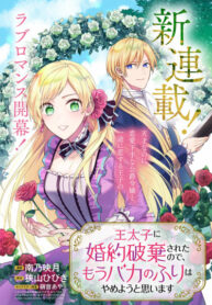 Cover 65067