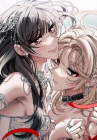 Cover 65132