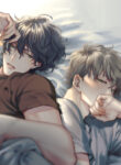Cover 65228