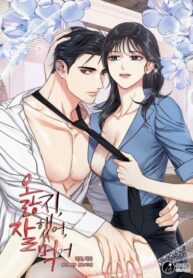 Cover 65272