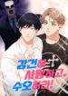 Cover 65304