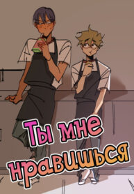 Cover 65310