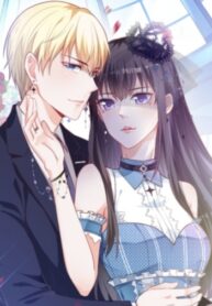 Cover 65352