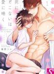 Cover 65472