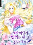 Cover 65511