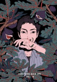 Cover 65515
