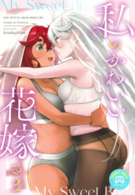 Cover 65525