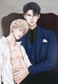 Cover 65537