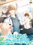 Cover 65557