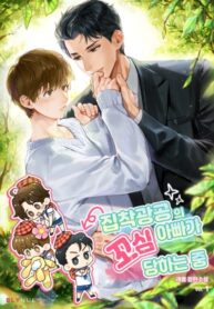 Cover 65608