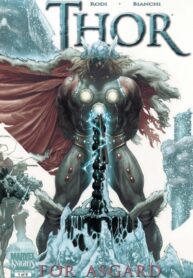 Cover 65685