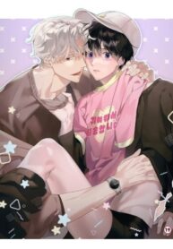 Cover 65913