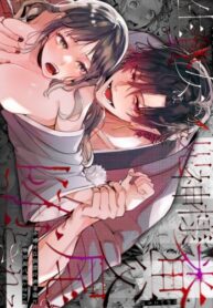 Cover 66024