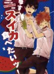 Cover 66090