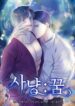 Cover 66169
