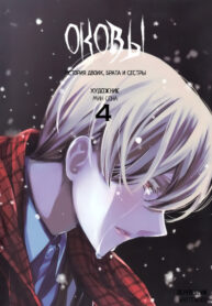 Cover 66252