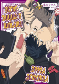 Cover 66358