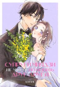 Cover 66368