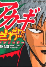 Cover 66384