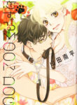 Cover 66566