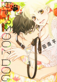 Cover 66566