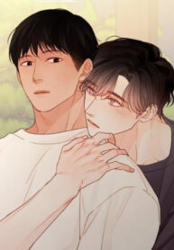 Cover 66572