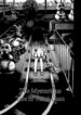 Cover 66742